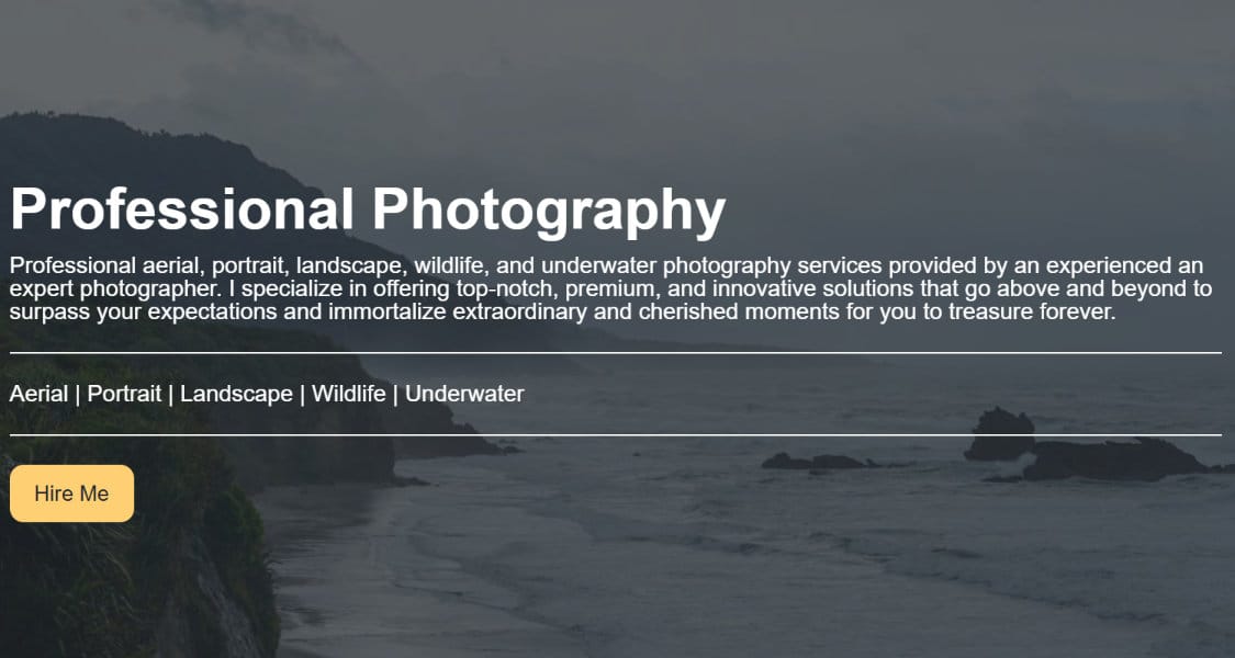 Image of a website showing the photography portfolios provided.