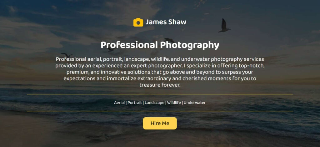 Image of the top of a website section, a landscape featuring a beach, the sea and birds flying in the sky.