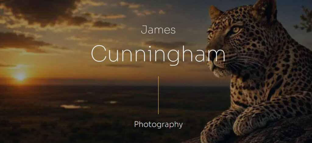 Visit website